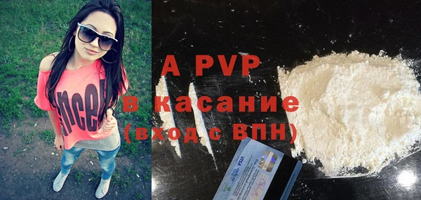 стаф Арсеньев