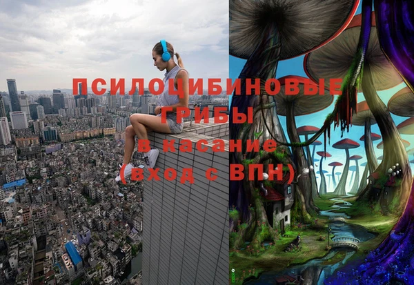 apvp Ростов