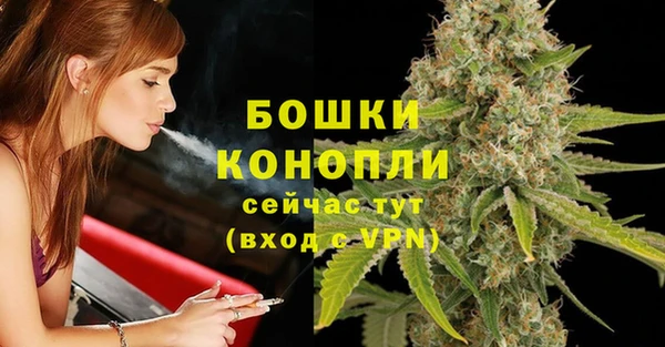 молекула духа Белокуриха